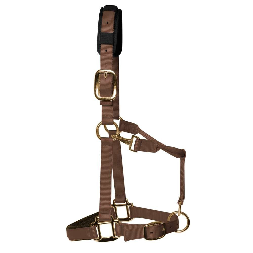 Brown Padded Head Collar