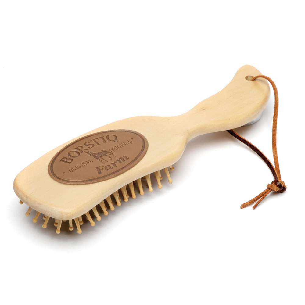 Borstiq Massage Brush